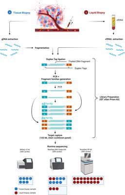 Highly sensitive liquid biopsy Duplex sequencing complements tissue biopsy to enhance detection of clinically relevant genetic variants